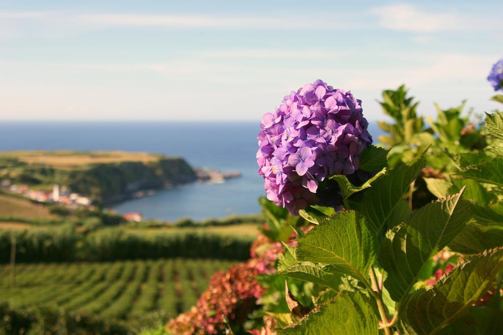 Casa Quinta Do Marques Villa Ponta Delgada  Bagian luar foto